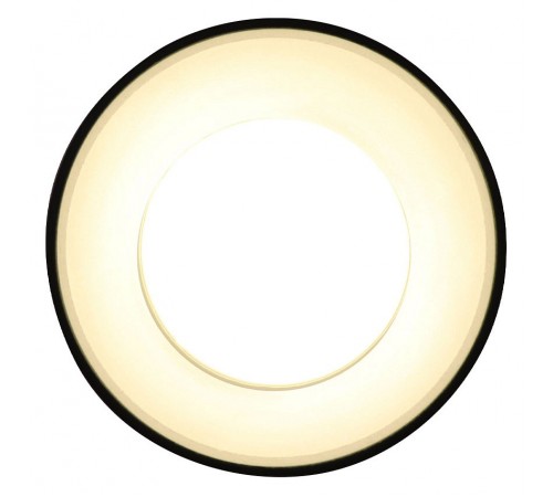 Накладной светильник Ambrella Light TN3412 TN