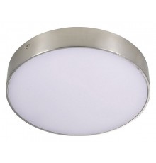 Накладной светильник Aployt APL.0114.19.24 Evon