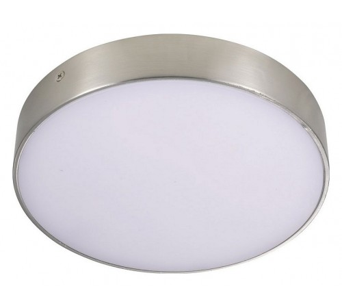 Накладной светильник Aployt APL.0114.19.24 Evon