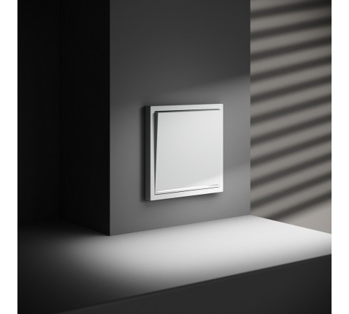 Выключатель одноклавишный с подсветкой без рамки Voltum VLS010202 S70