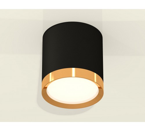 Накладной светильник Ambrella Light XS8142004 XS