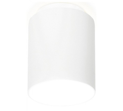 Накладной светильник Ambrella Light TN261 TN