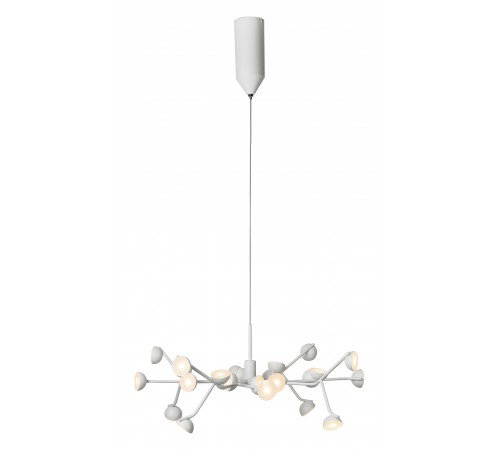 Подвесная люстра Mantra 6261 Adn