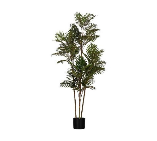 Растение в горшке (650x1600) Yubetsu 428019