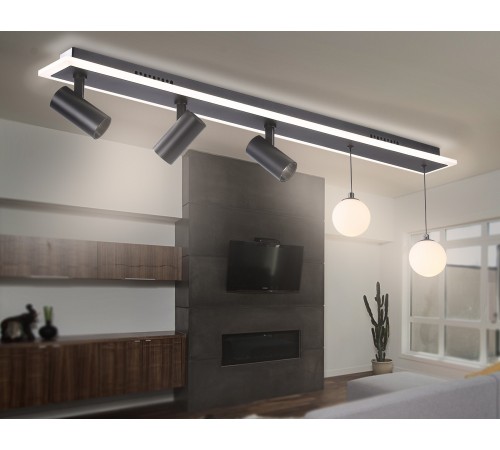 Накладной светильник Ambrella Light FL66202 FL