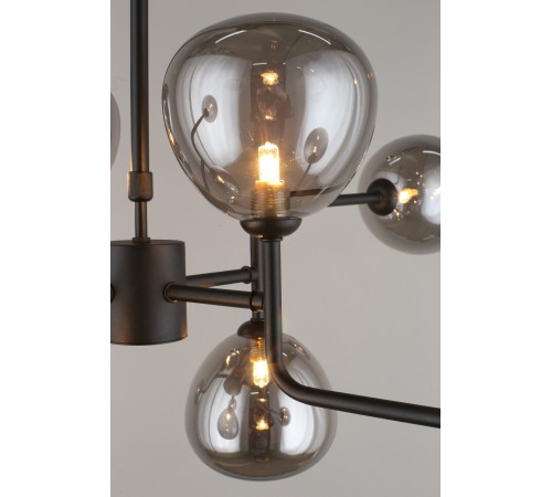 Люстра на штанге Aployt APL.913.07.08 Roser