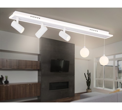 Накладной светильник Ambrella Light FL66201 FL