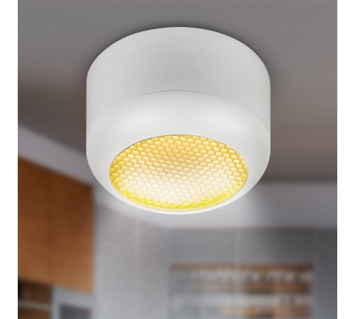 Накладной светильник Эра OL56 WH