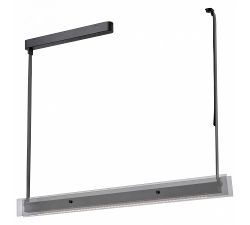 Светильник на штанге Wertmark WE435.12.023 Kuno