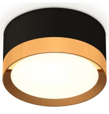 Накладной светильник Ambrella Light XS8102004 XS