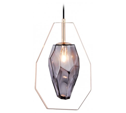 Подвесной светильник Ambrella Light TR3627 TR