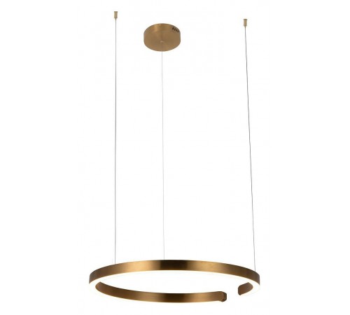 Подвесной светильник Loft it 10013L Ring