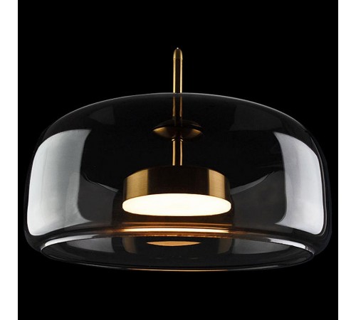 Подвесной светильник Loft it 10041B Dauphin