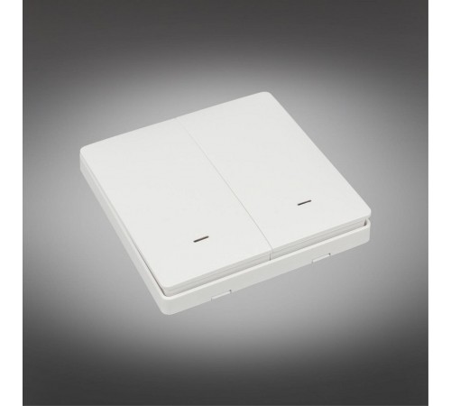 Выключатель беспроводной двухклавишный Aployt APL.0190.00.02 Magnetic track 220