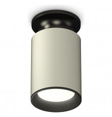 Накладной светильник Ambrella Light XS6314081 XS