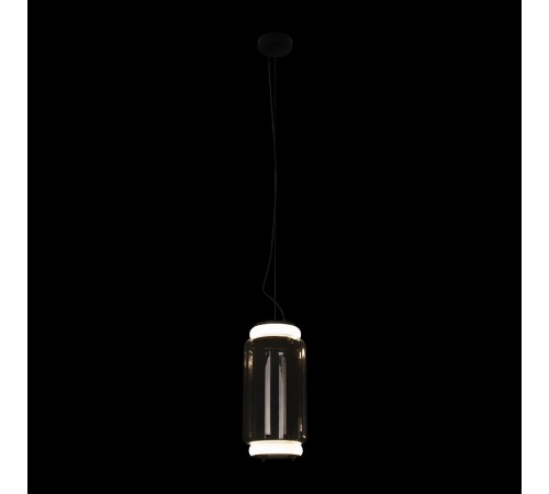 Подвесной светильник Loft it 10194/S Noctambule