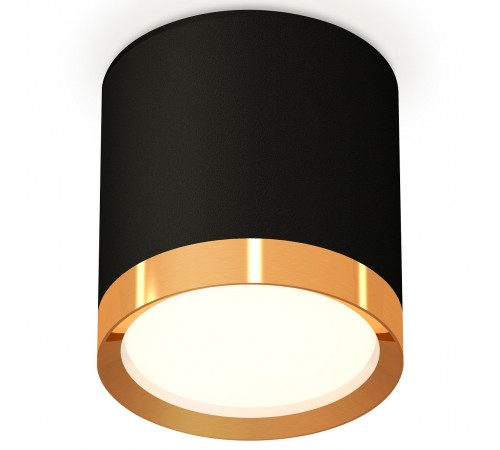 Накладной светильник Ambrella Light XS8142004 XS