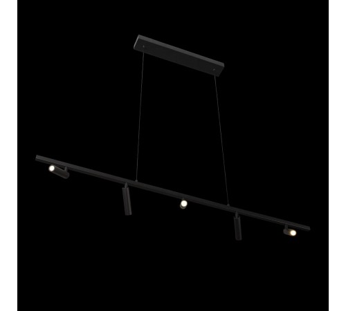 Подвесной светильник Loft it 10260/5 Black Sign