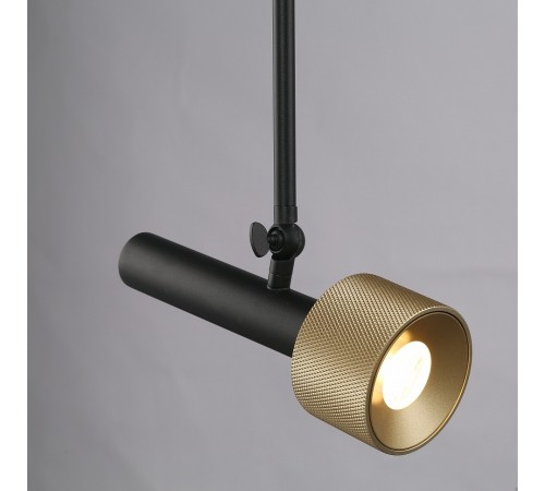 Светильник на штанге iLedex Technical 2361-1 BK+BR Delta