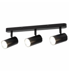 Спот Эра OL35-3 BK