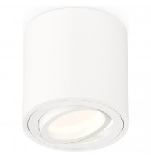 Накладной светильник Ambrella Light XS7531001 XS