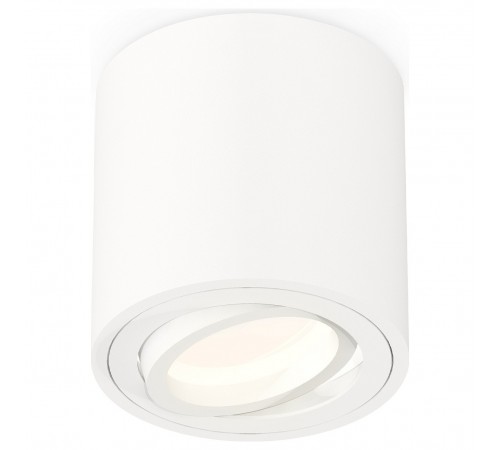 Накладной светильник Ambrella Light XS7531001 XS