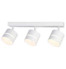 Спот Ambrella Light TN71062 TN