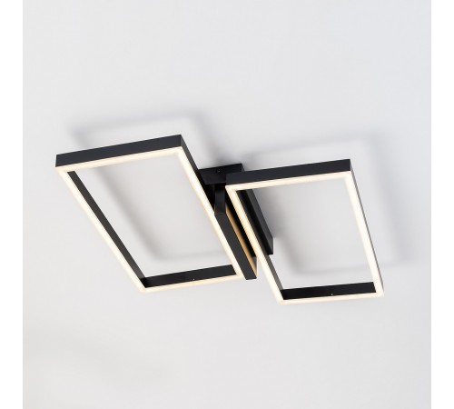 Накладной светильник Escada 10209/2LED Black Scales