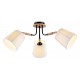 Потолочная люстра Ambrella Light TR4731 TR