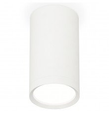 Накладной светильник Ambrella Light XS8161001 XS