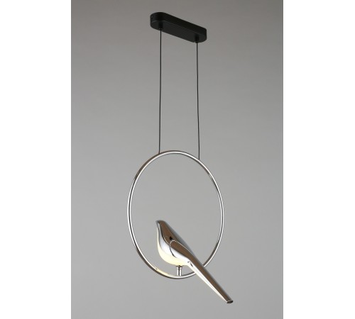 Подвесной светильник Aployt APL.822.16.10 Astor