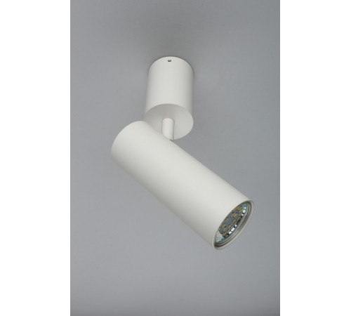 Спот Aployt APL.007.02.01 Berenis