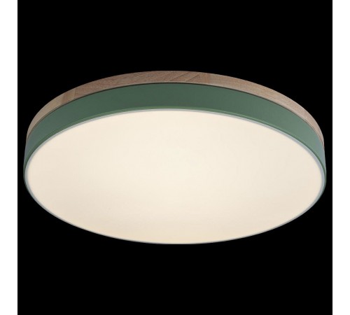 Накладной светильник Loft it 10001/36 Green Axel