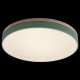 Накладной светильник Loft it 10001/36 Green Axel