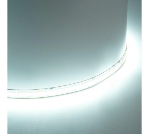 Лента светодиодная Feron 48831 LS503