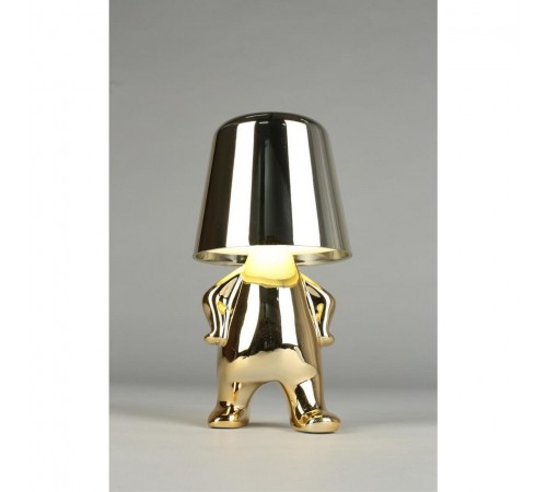 Зверь световой Aployt APL.672.04.01 Ninet