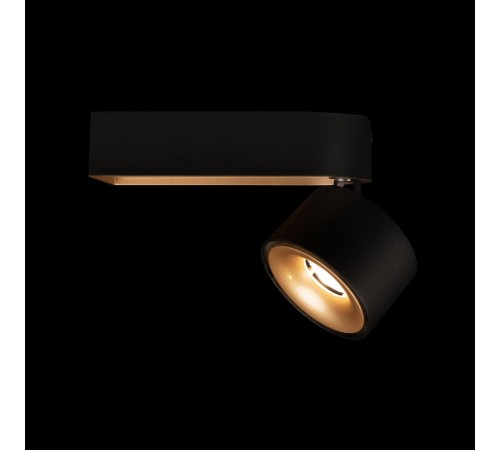 Накладной светильник Loft it 10324/A Gold Black Knof
