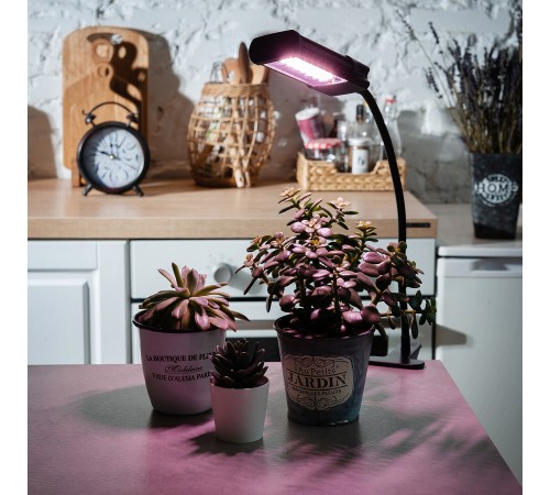 Светильник для растений Uniel UL-00009250 ULT-P31