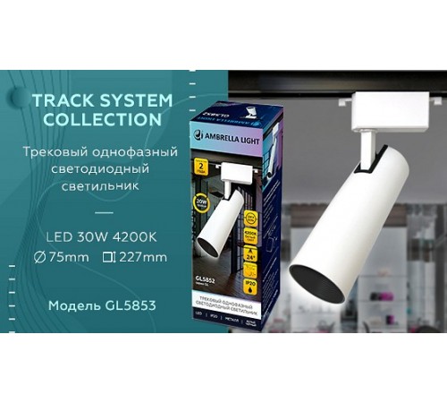 Светильник на штанге Ambrella Light GL5853 GL