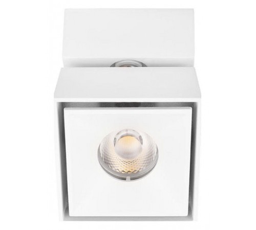 Спот Loft it 10323/B White Focus