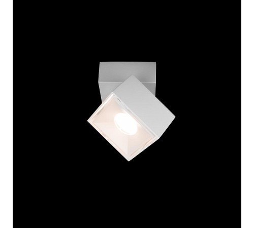 Спот Loft it 10323/B White Focus