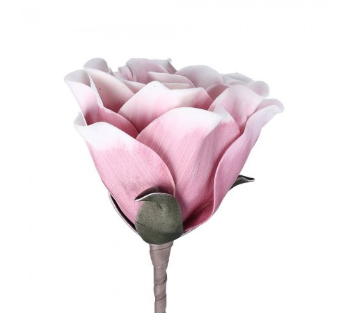 Цветок (250x650) Molave 428133