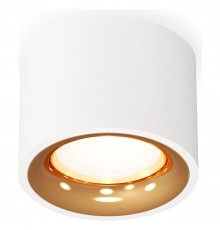 Накладной светильник Ambrella Light XS7510024 XS