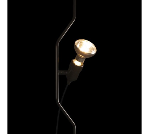 Светильник на растяжке Loft it 10346/1 Black Parentesi