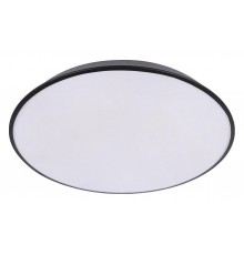 Накладной светильник Loft it 10226 Black Brim