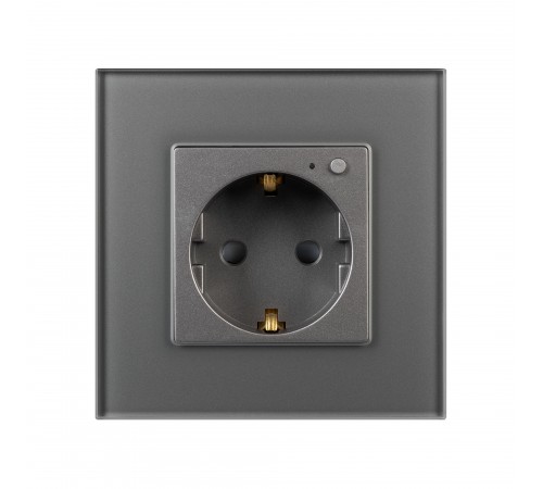 Розетка с заземлением Arlight 50101 OMALI