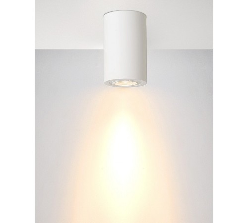 Накладной светильник Lucide 35100/11/31 Gipsy