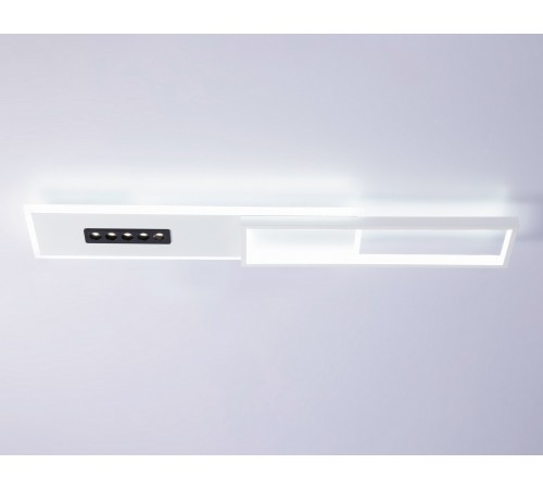 Накладной светильник Ambrella Light FL51453 FL