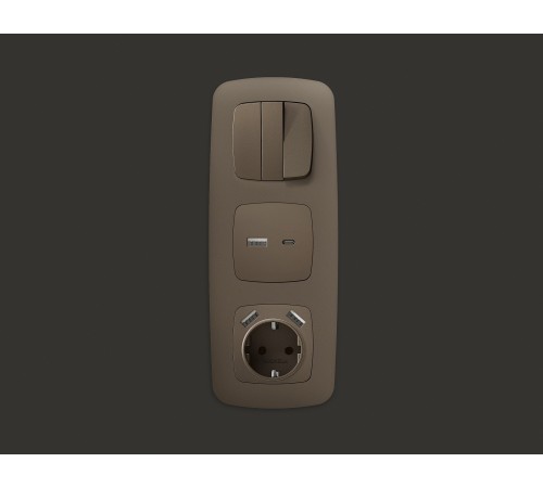 Накладка для розетки с заземлением и со шторками и 2хUSB type A и C Ambrella Volt OP6400 Quant