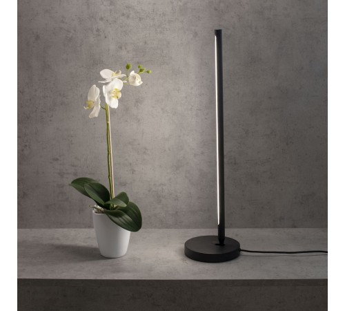 Настольная лампа декоративная Mantra 6738 Torch